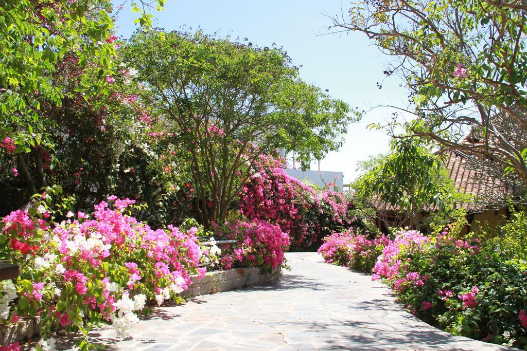 Poshanu Boutique Resort Phan Thiết Extérieur photo