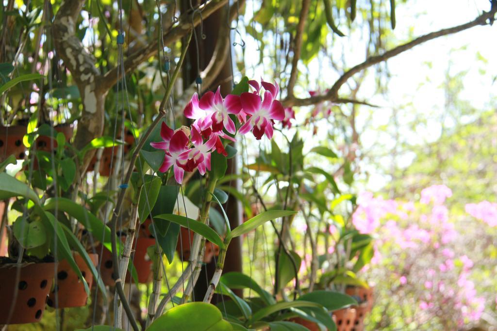 Poshanu Boutique Resort Phan Thiết Extérieur photo